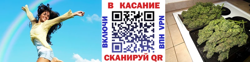 Где продают наркотики Ачхой-Мартан Канабис АМФЕТАМИН Альфа ПВП Псилоцибиновые грибы COCAIN МЕФ