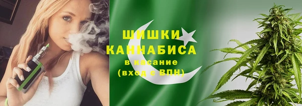 ПСИЛОЦИБИНОВЫЕ ГРИБЫ Алексин