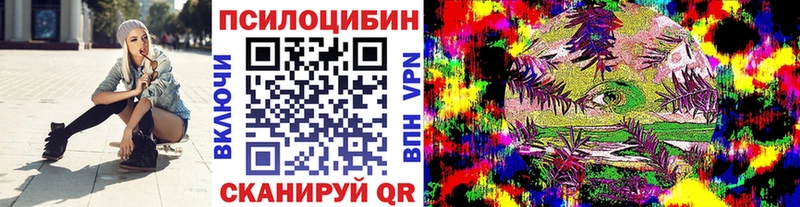 Галлюциногенные грибы Psilocybe  Ачхой-Мартан 